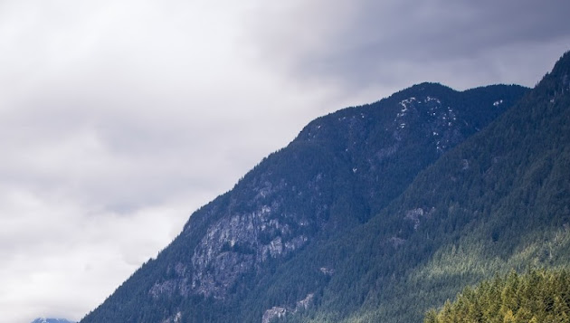 Cover photo