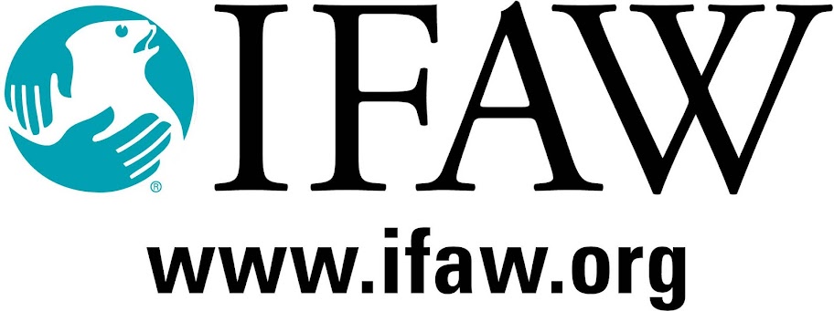 IFAW Logo IFAW Logo