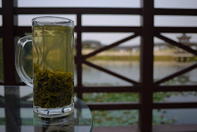 glass of green tea at Chuan Shipo Lake (穿石坡湖) at Yuelu Mountain (岳麓山) in Changsha, China