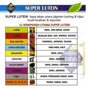 Lindungi Hati (Liver) Anda dari Bahaya Kanker Hati kandungan slutena1 300x297 Lindungi Hati (Liver) Anda dari Bahaya Kanker Hati