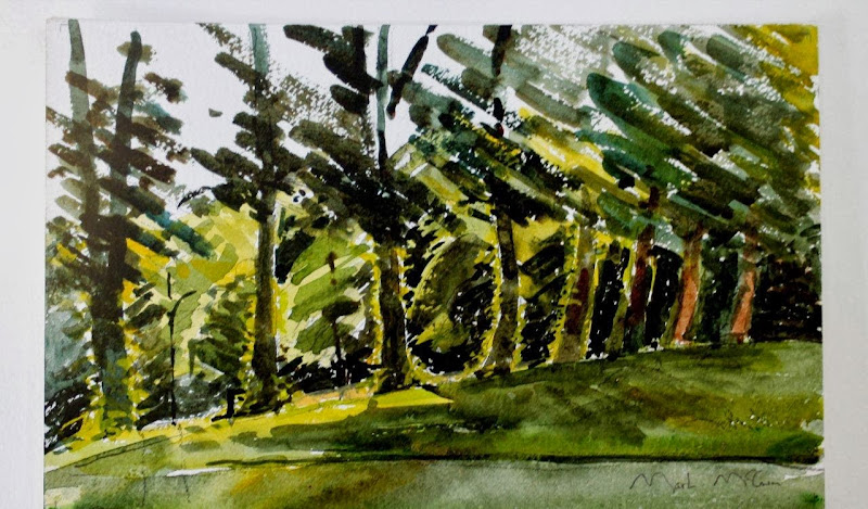 Mark McCrum: June evening: backlit trees in Waterlow Park, Highgate.  Watercolour on paper (11” x 7”)