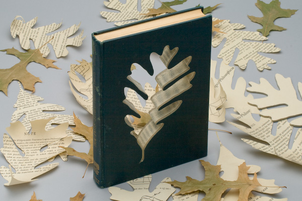 Bookdust: Tractatus