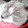 Pooch and Claws Pooch and Claws's profile photo