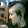 Oot Ooters Oot Ooters's profile photo