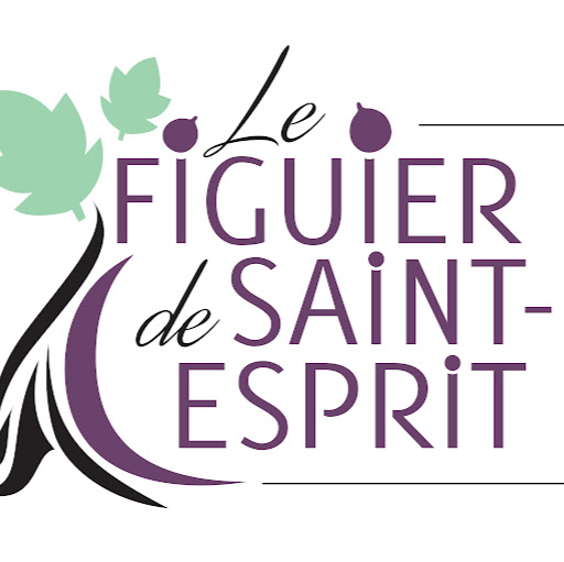Le Figuier De Saint Esprit logo