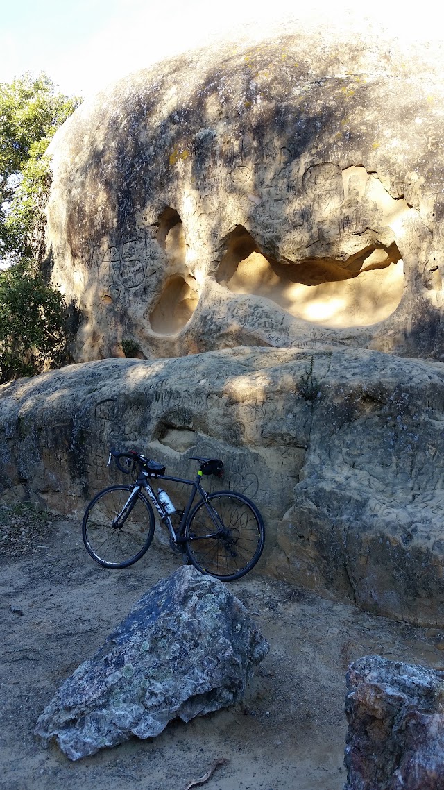 Mount Diablo State Park