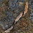 Keith Ho avatar image