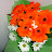 Hashim Hassen avatar image