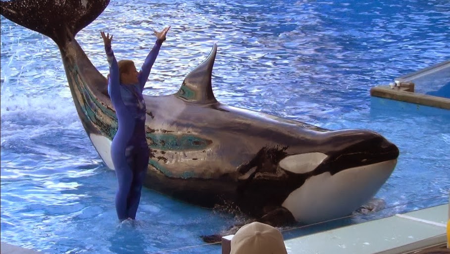 В Орландо, парк Sea World