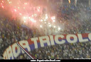 TORCIDA UNIFORMIZADA TERROR TRICOLOR