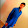 Bibin Kumar Bibin Kumar's profile photo