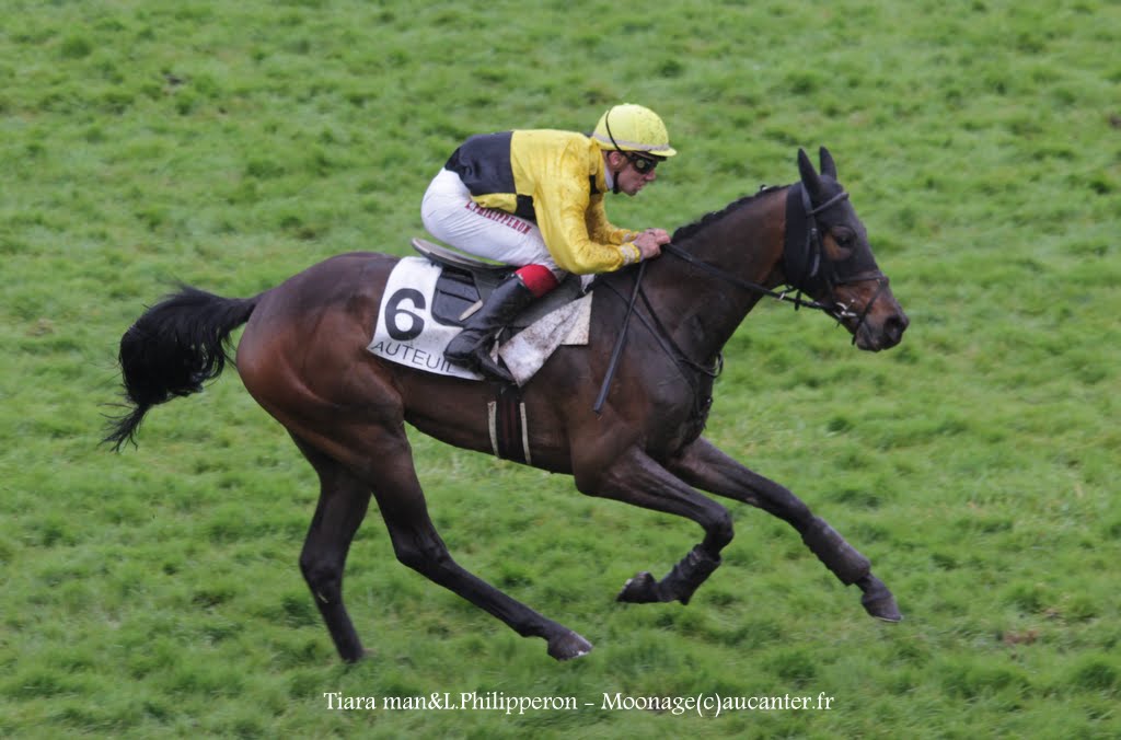 Photos Auteuil  26-04-2015 - Page 2 IMG_9112