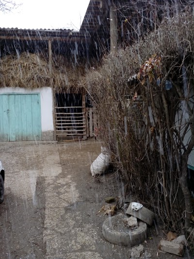 Photos of Chymbay