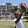 Marcus LeVere Marcus LeVere's profile photo