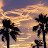 Michael Giammarco avatar image