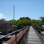 Bridge over Lane Cove River (345853)