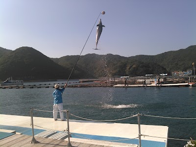 Photos of Tsukumi Dolphin Island
