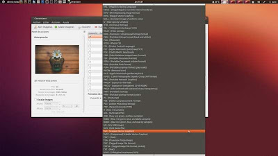 Converseen 0.5.1 un convertidor de imágenes para kubuntu/ubuntu