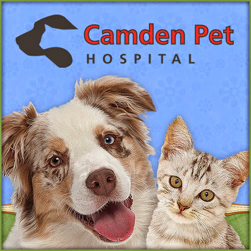 Camden Pet Hospital logo