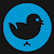 Google+ profile image