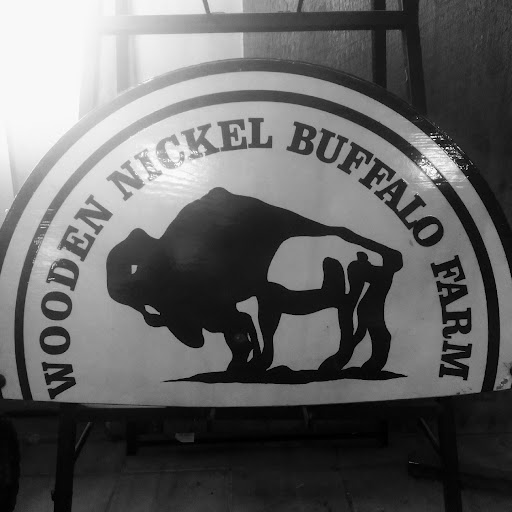 Wooden Nickel Buffalo Farm & Corn Maze logo