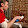 Mark Stoddard Mark Stoddard's profile photo