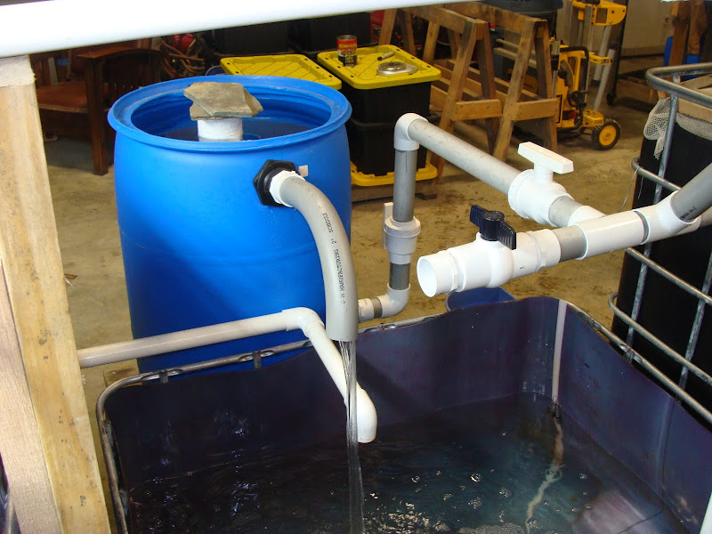 Backyard Aquaponics • View topic - Settling tank or swirl filter?