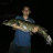 Zach Tribby avatar image