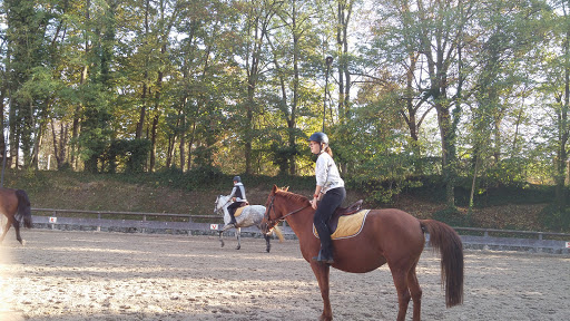 PONEY CLUB DE BRIMBORION