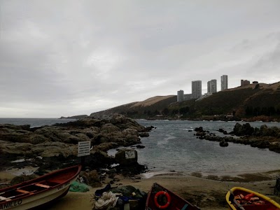 Photos of Faculty of Marine Sciences and Natural Resources