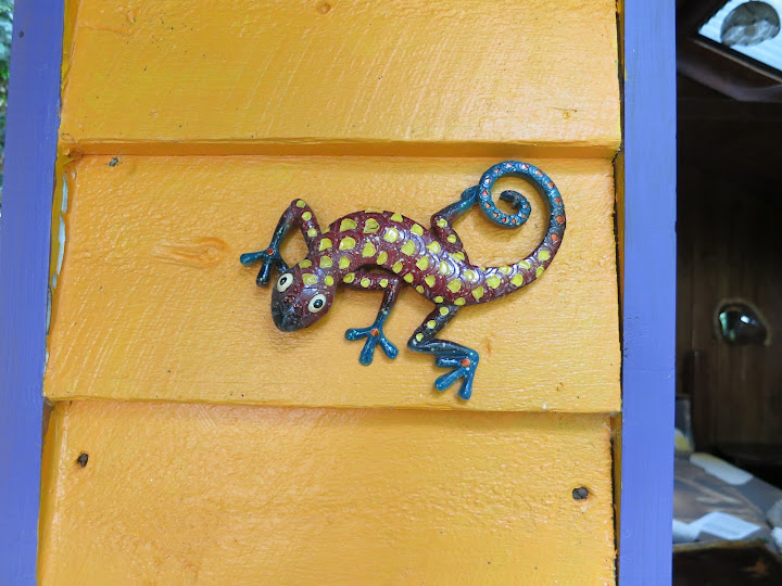 Australia de costa a costa - Blogs de Australia - Cairns, Cape Tribulation, Atherton Tablelands-9 al 14 de Agosto de 2012 (4)