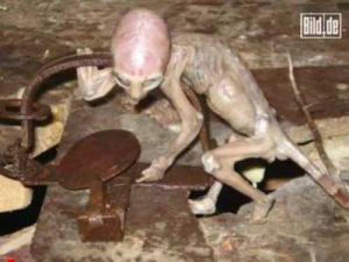 Mexican Alien Baby