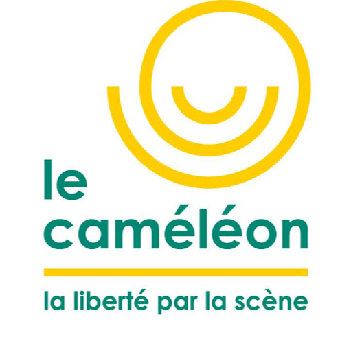 La Compagnie Du Cameleon logo