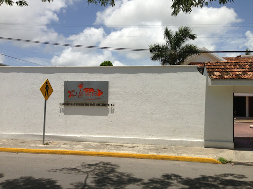 Esc Culinaria Del Sureste Ac, Calle 37 300, Cordemex, 97117 Mérida, Yuc., México, Escuela | YUC