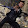 Mario Carrera Mario Carrera's profile photo