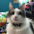 Rylee Graner avatar image