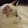 Jun Liu Jun Liu's profile photo