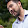 Joe Oviedo Joe Oviedo's profile photo