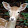 Miguela Arana Miguela Arana's profile photo