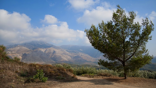 Cover photo