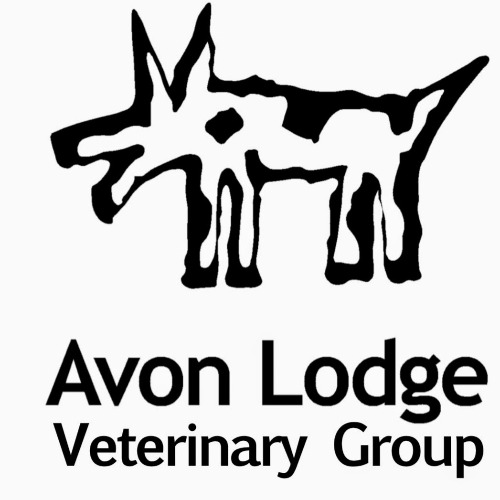 Avon Lodge Veterinary Group logo