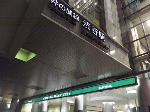 Shibuya Crossing, Tokyo