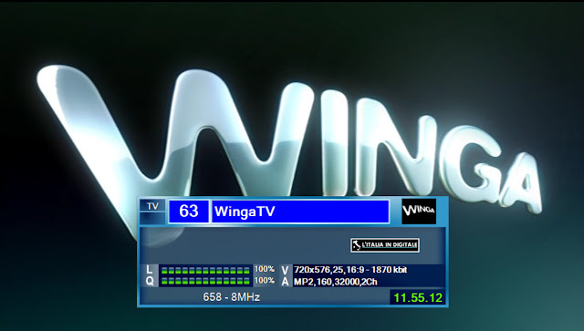 WingaTV%25252019.7-2011%252520%25252011_55_13.jpg