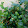 Vijay de Prabu Vijay de Prabu's profile photo