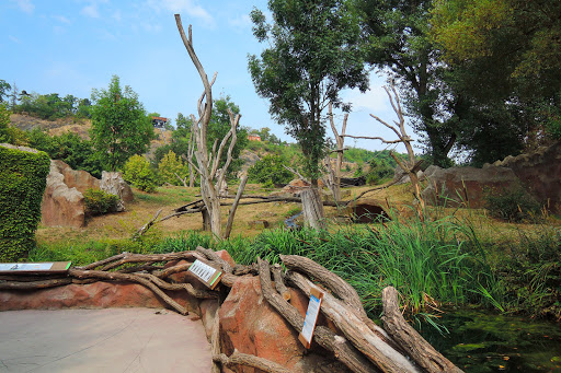 Gorillas Pavilion - Zoo Prague