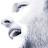 Rune Hammelstrup avatar image