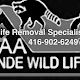 AAA Sande Wildlife Control