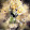 Tzuki Hamna Tzuki Hamna's profile photo