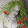 Shannon Kidwell Shannon Kidwell's profile photo