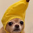 guy yuma avatar image